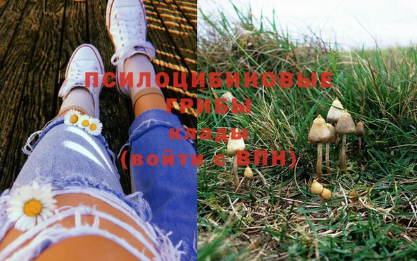 PSILOCYBIN Волоколамск