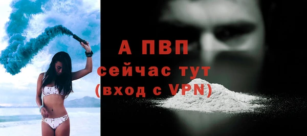 PSILOCYBIN Волоколамск