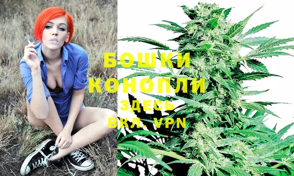 PSILOCYBIN Волоколамск
