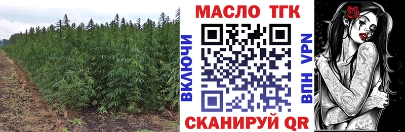 Купить закладки  Обнинск  ТГК гашишное масло 