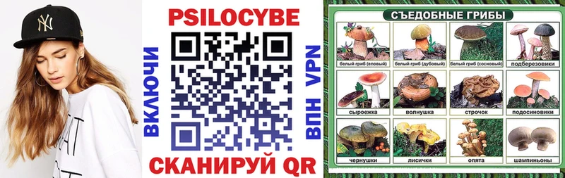 Купить  Обнинск  Псилоцибиновые грибы мицелий 